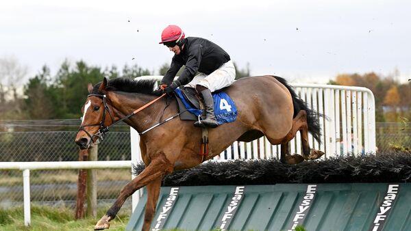 Donovan steers Shotgun Jack to Limerick success 