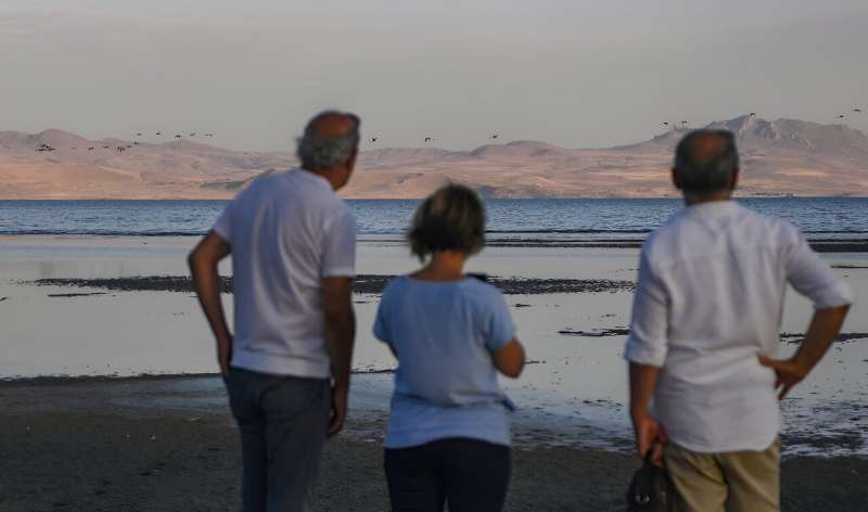 Carcasses of dead gulls like the shoreline of Turkey's shrinking Lake Van